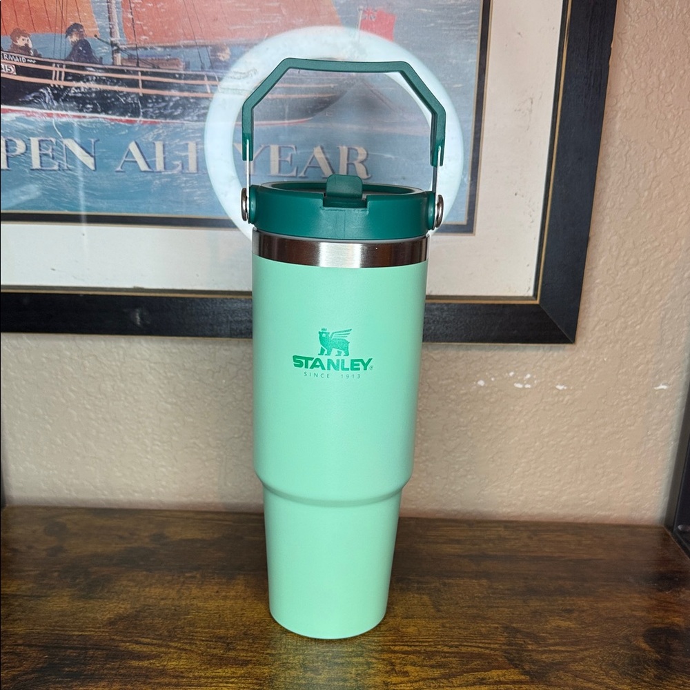 Stanley 30oz Mint Green Travel Tumbler with Handle